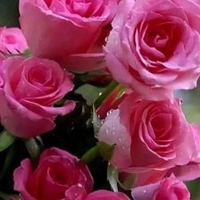 Схема вышивки «Розы»