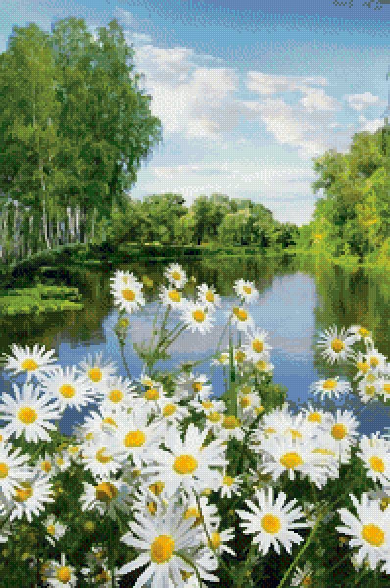 ромашки у воды - предпросмотр