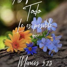 Схема вышивки «al que cree todo le es posible»