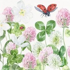 Схема вышивки «цветы»