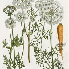 Схема вышивки «№2843576»