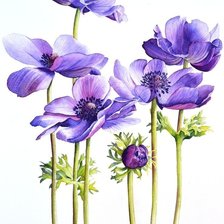 Схема вышивки «№2843577»