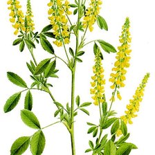 Схема вышивки «№2843578»