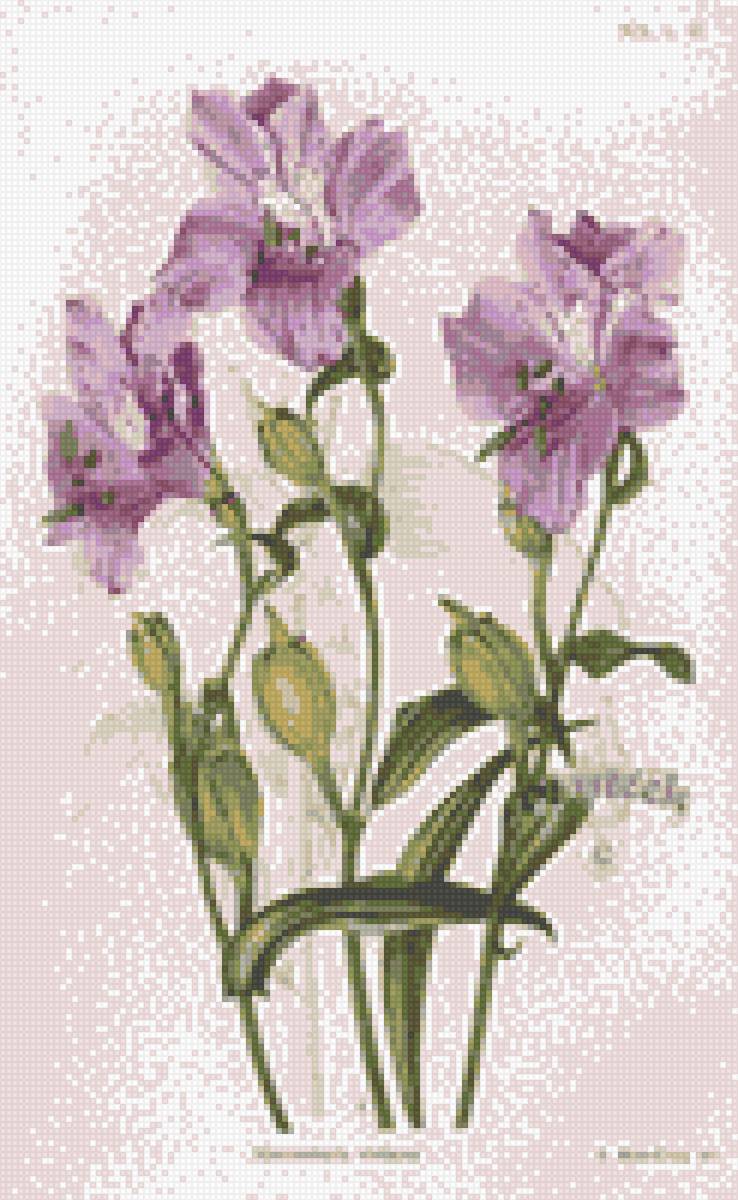 №2843588 - предпросмотр