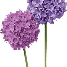 Схема вышивки «№2843617»