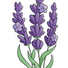 Схема вышивки «№2843619»