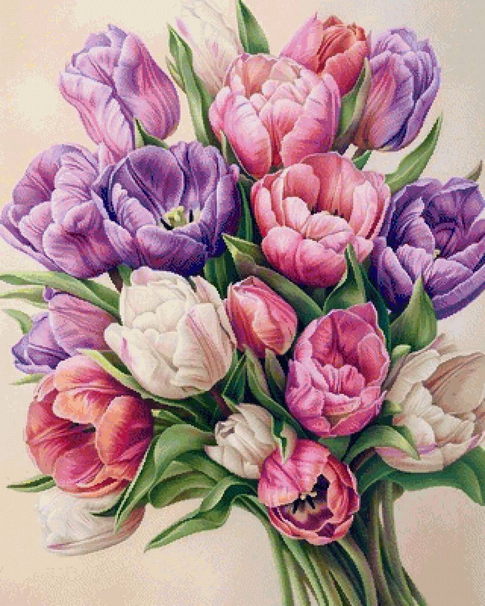 тюльпаны - предпросмотр