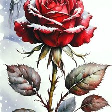 Схема вышивки «Роза»