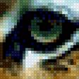 Предпросмотр схемы вышивки «Тигр купается» (№2844493)