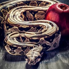 Схема вышивки «Змей искуситель»