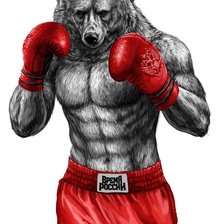 Спорт, бокс