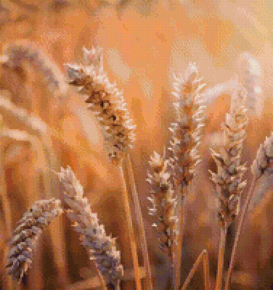 Колосья гамма - предпросмотр