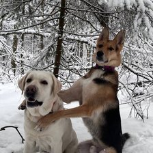 Схема вышивки «Мои друзья»