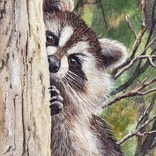 Схема вышивки «Енот»