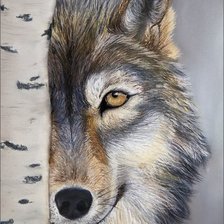 Схема вышивки «Волк. Михаэль Лим»