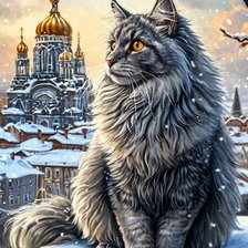 Городские легенды