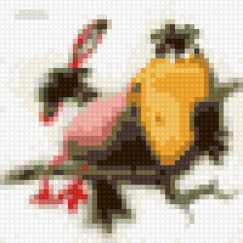 ава - ворона с зеркалом - предпросмотр