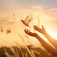 Схема вышивки «НА ЗАРЕ»