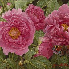 Схема вышивки «Пионы»