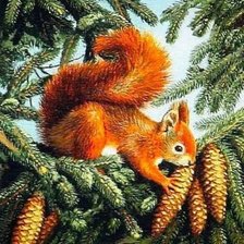 Схема вышивки «Белочка»