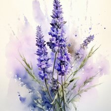 Схема вышивки «Полевые цветы»