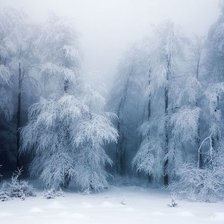 Схема вышивки «Зима»