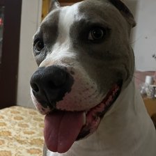 Схема вышивки «макс»