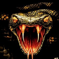 Схема вышивки «Земноводные»