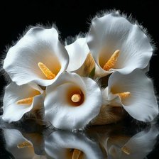 Схема вышивки «№2850671»