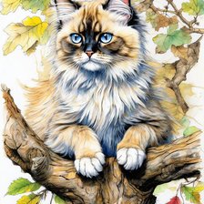 Схема вышивки «кот»