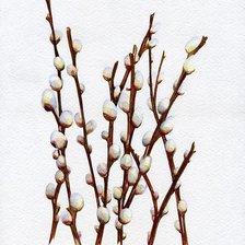 Схема вышивки «верба»