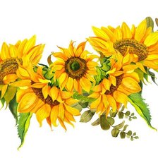 Схема вышивки «подсолнухи»