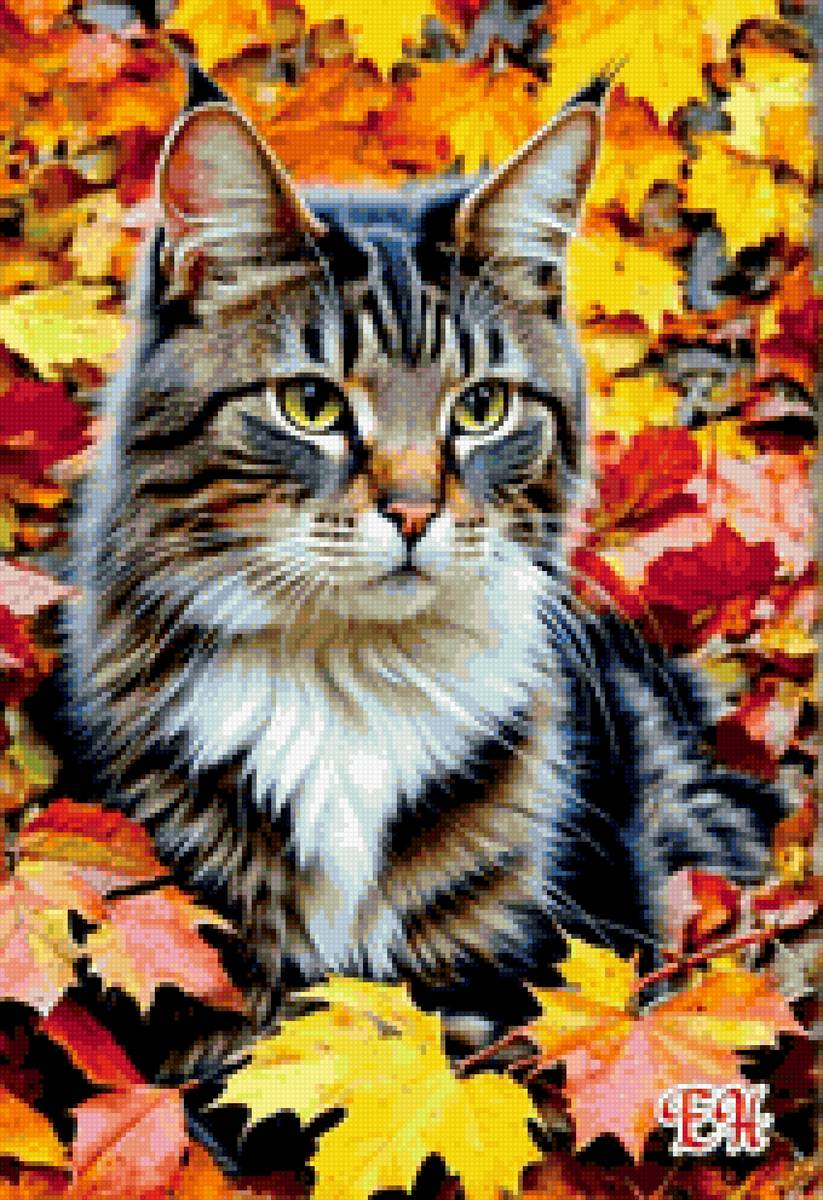 кот - кот - предпросмотр