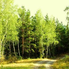 Схема вышивки «пейзаж»