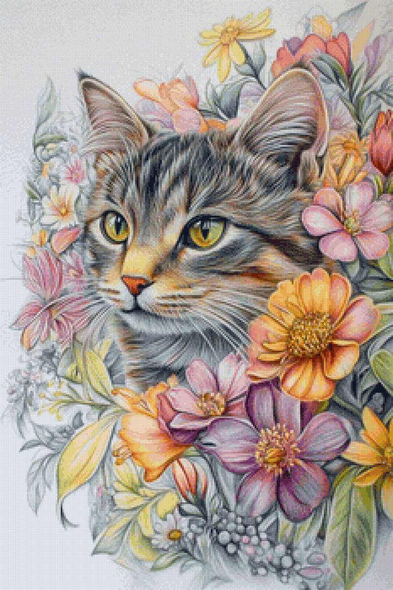 Леди кошка - домашнее животное, кот - предпросмотр