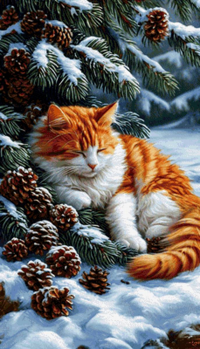 Котик - фотографии - предпросмотр