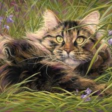 Кошка. Люси Билодау