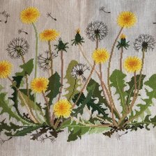 Схема вышивки «одуванчики»