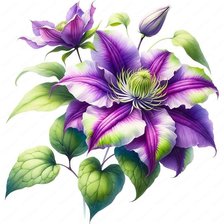 Схема вышивки «Клематис»