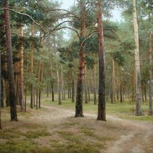 Схема вышивки «Сосновый бор. Вячеслав Плотников»