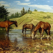 Лошади на водопое. Александр Булаков