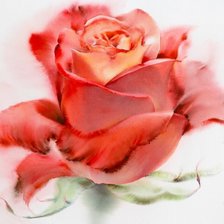 Схема вышивки «Роза»