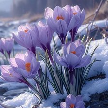 Схема вышивки «Весенние цветы»