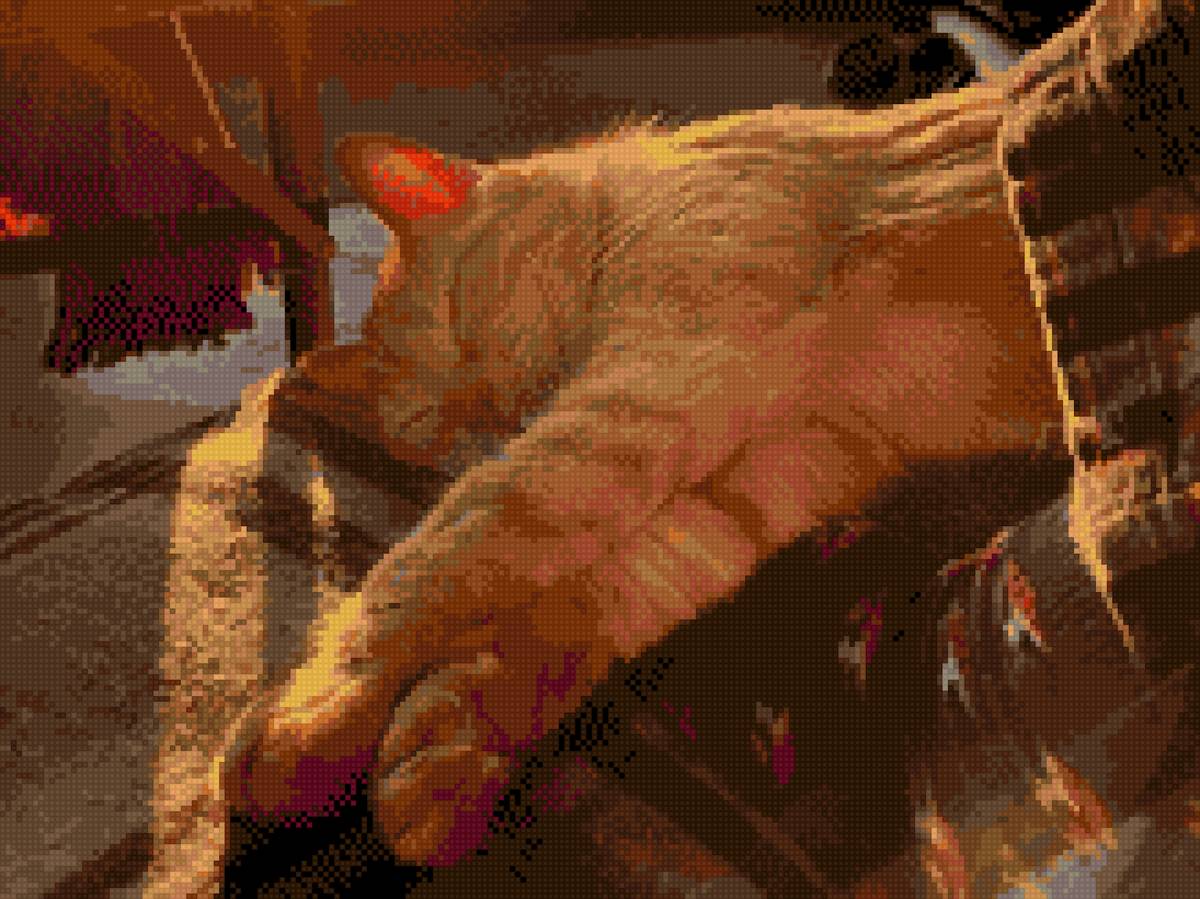 Рыжий кот - уют, тепло, закат, кот, спящий кот - предпросмотр