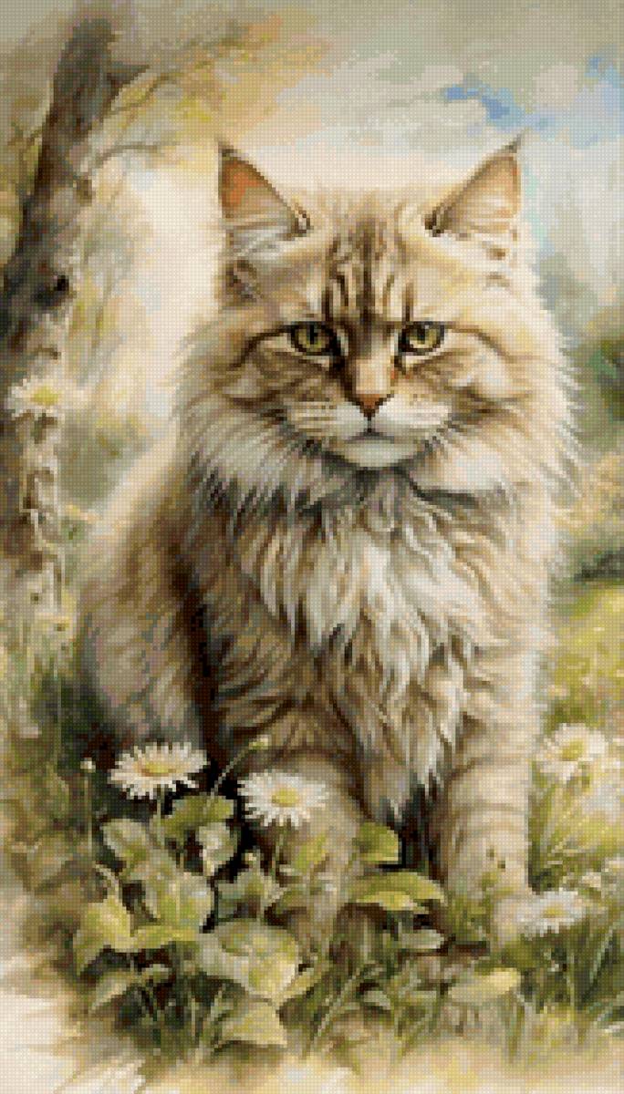 кот - кот - предпросмотр