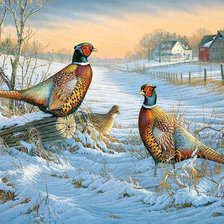 Схема вышивки «№2854108»