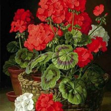 Схема вышивки «Герань»