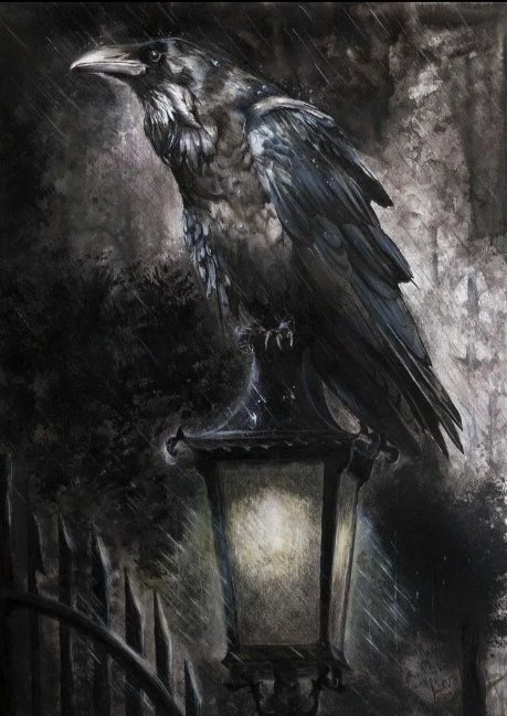 Ворон черный - дождь, ворон, фонарь, птицы - оригинал