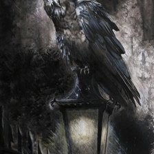 Схема вышивки «Ворон черный»