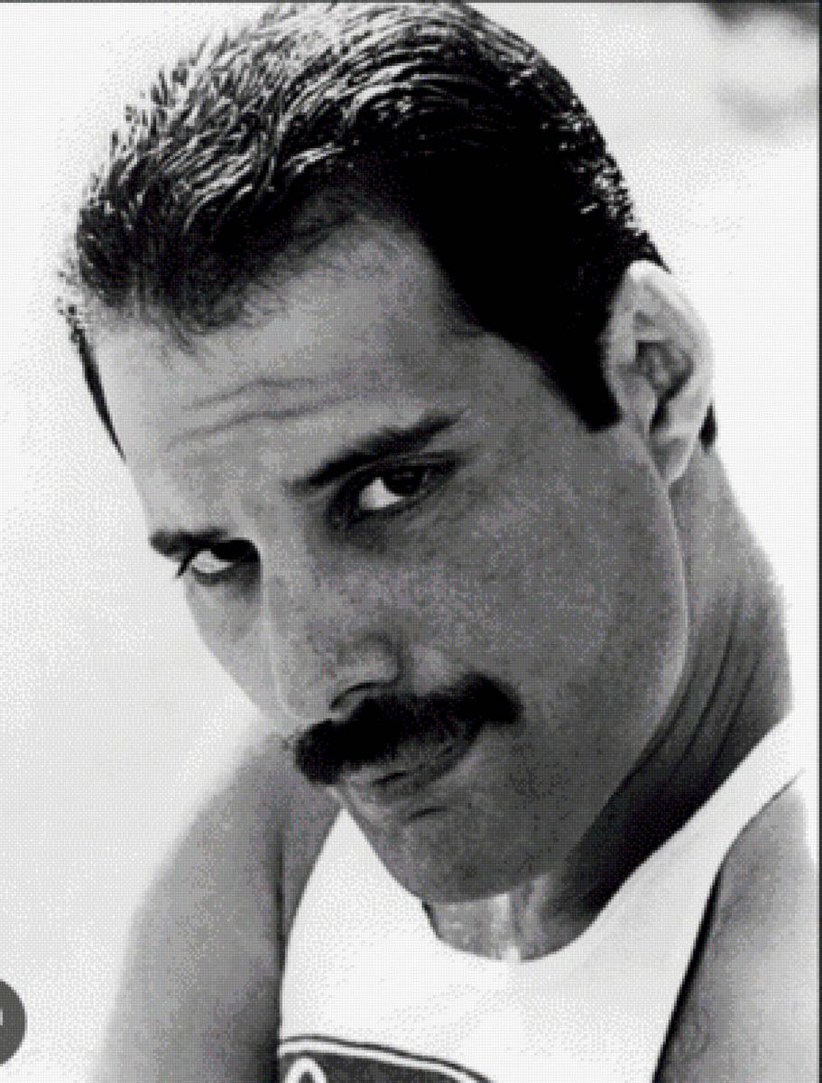 Фредди - предпросмотр